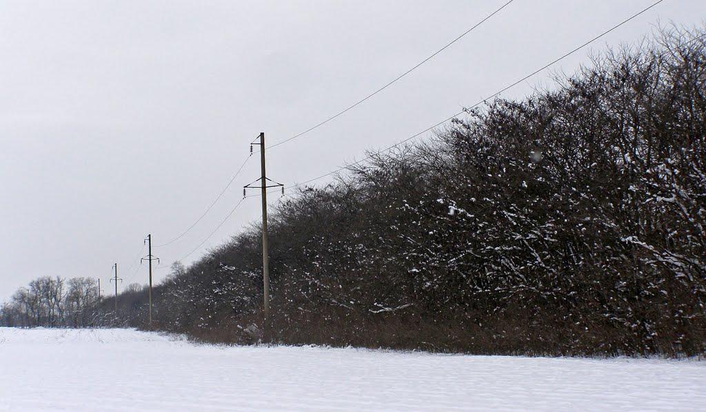 Дачне з panoramio.com - Дачное