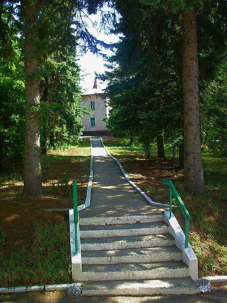 Научний з panoramio.com - Научний
