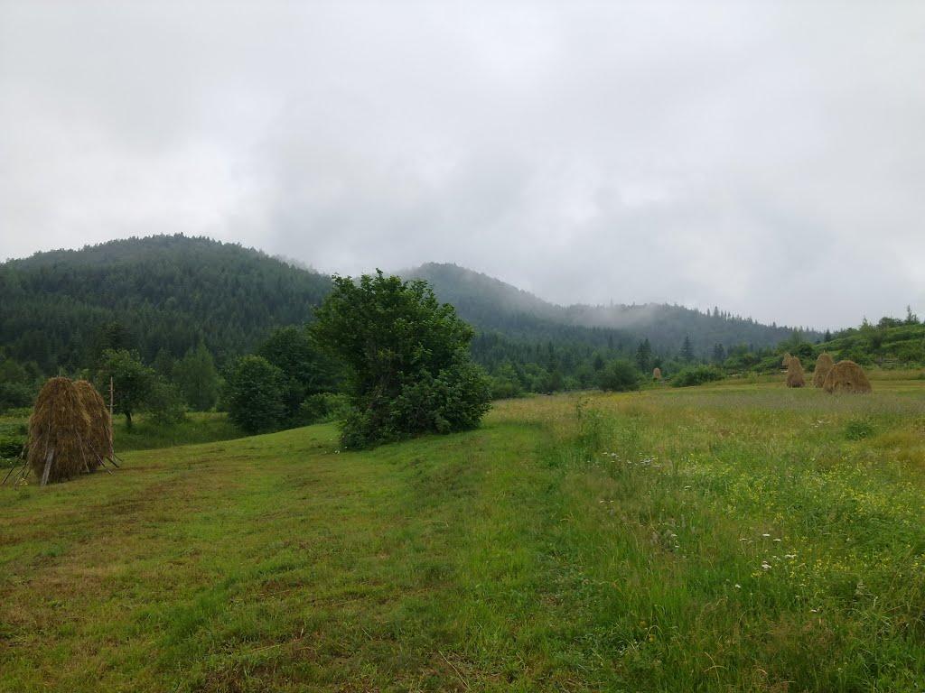 Перегінське з panoramio.com - Перегінське