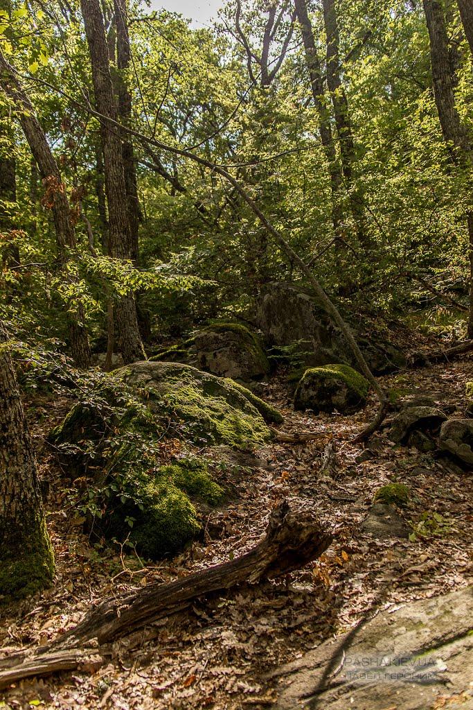 Запрудне з panoramio.com - Запрудне