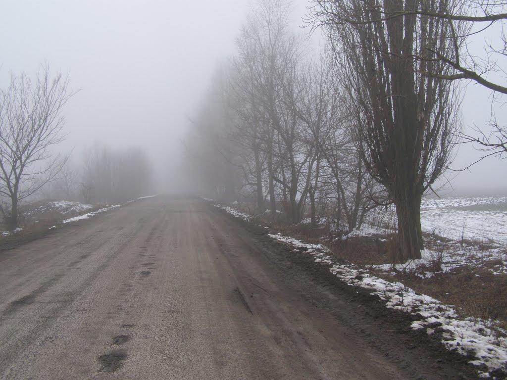 Комарівка з panoramio.com - Комарівка