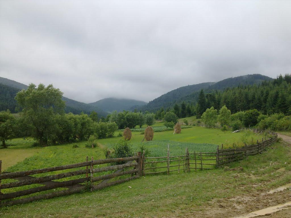 Перегінське з panoramio.com - Перегінське