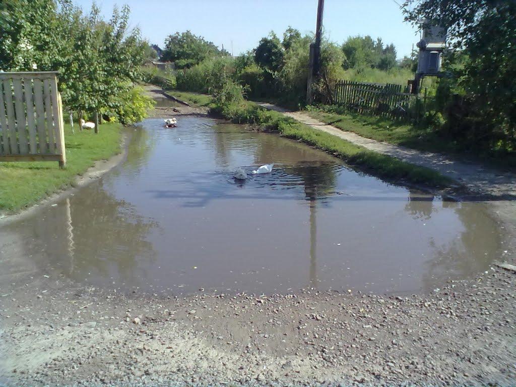 Великі Сорочинці з panoramio.com - Великие Сорочинцы