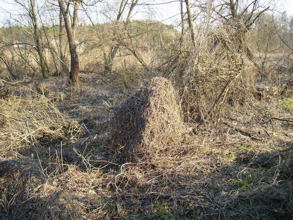 Доброславівка з panoramio.com - Доброславівка