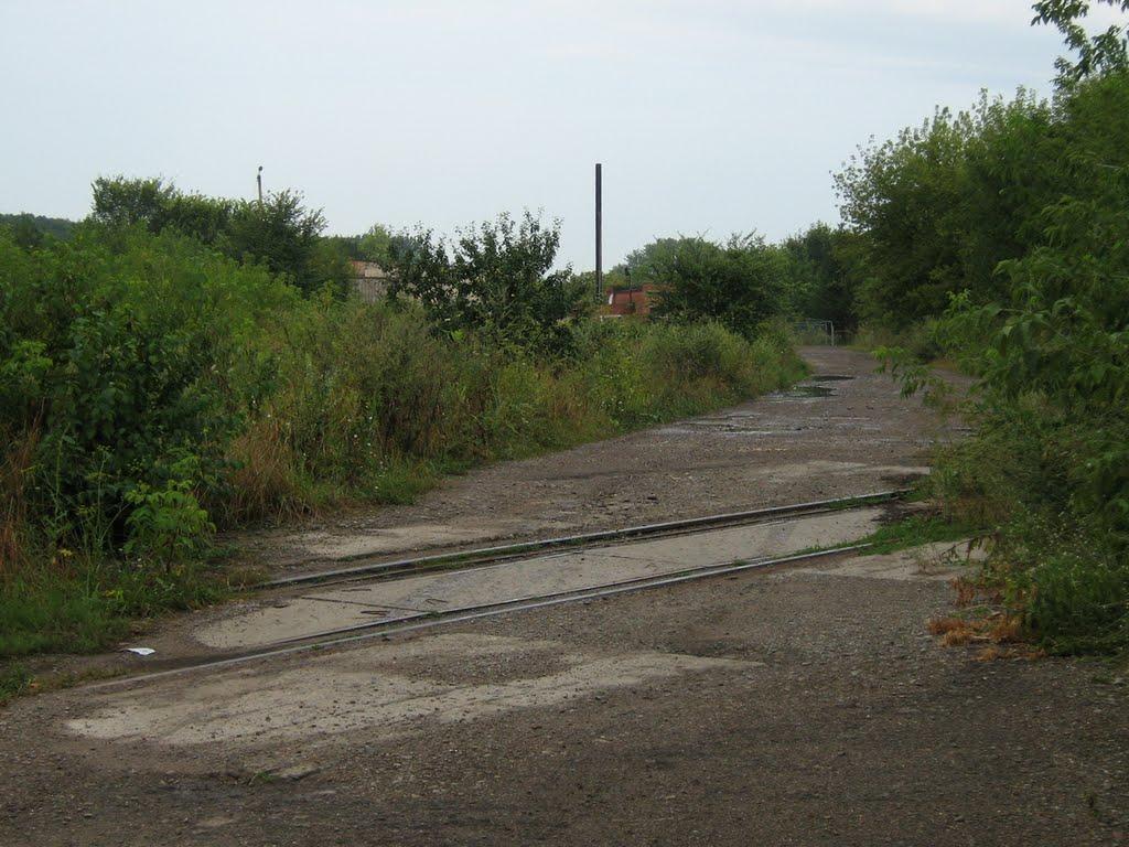 Городенка з panoramio.com - Городенка
