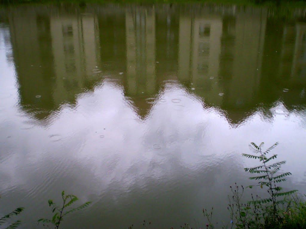 Поляна з panoramio.com - Поляна