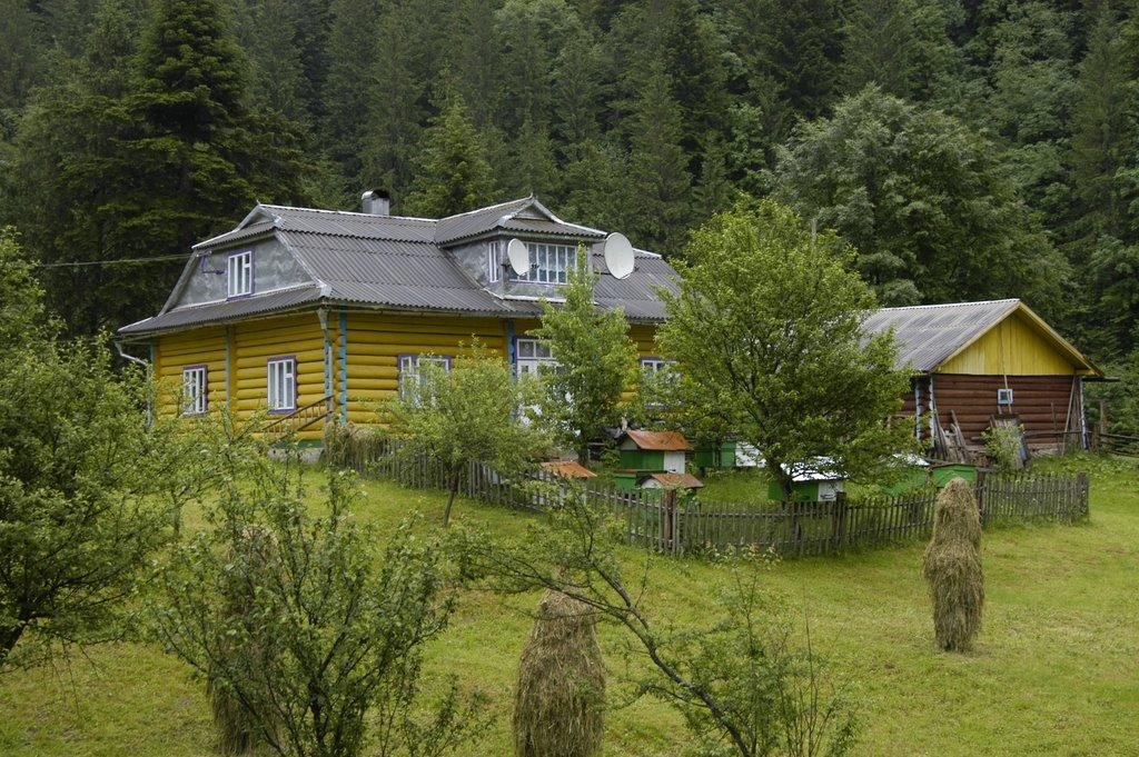 Нижній Яловець з panoramio.com - Нижній Яловець