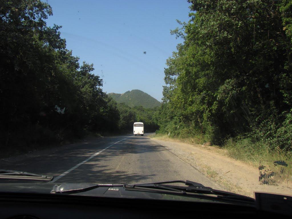 Щебетовка з panoramio.com (ч.2) - Щебетовка