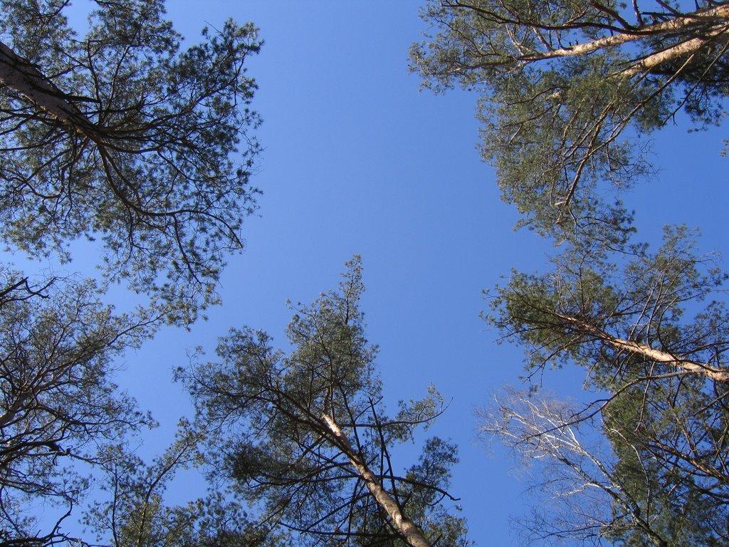 Погреби з panoramio.com (ч.3) - Погреби