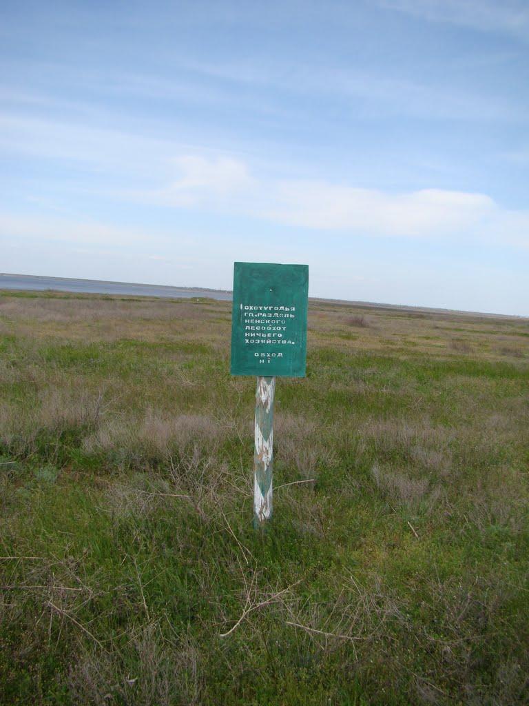 Волошине з panoramio.com - Волошино