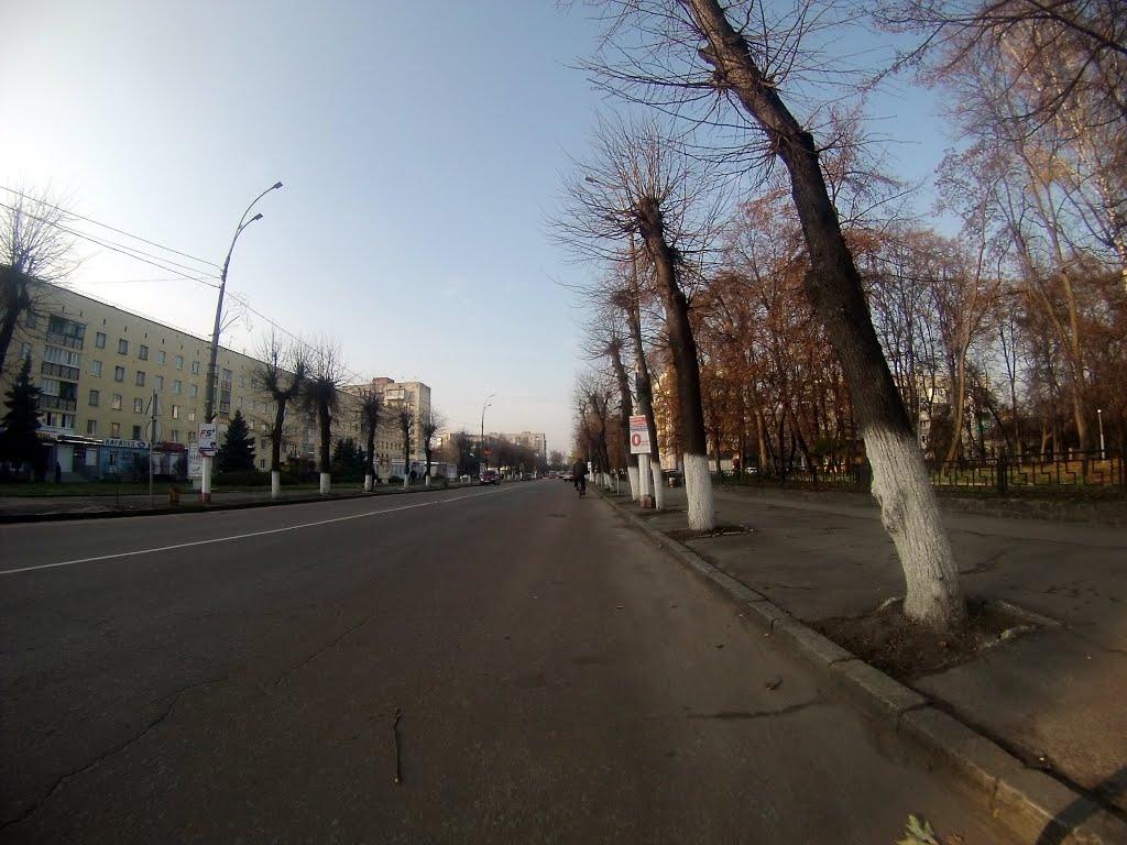 Новоград-Волинський з panoramio.com (ч.3) - Новоград-Волинський