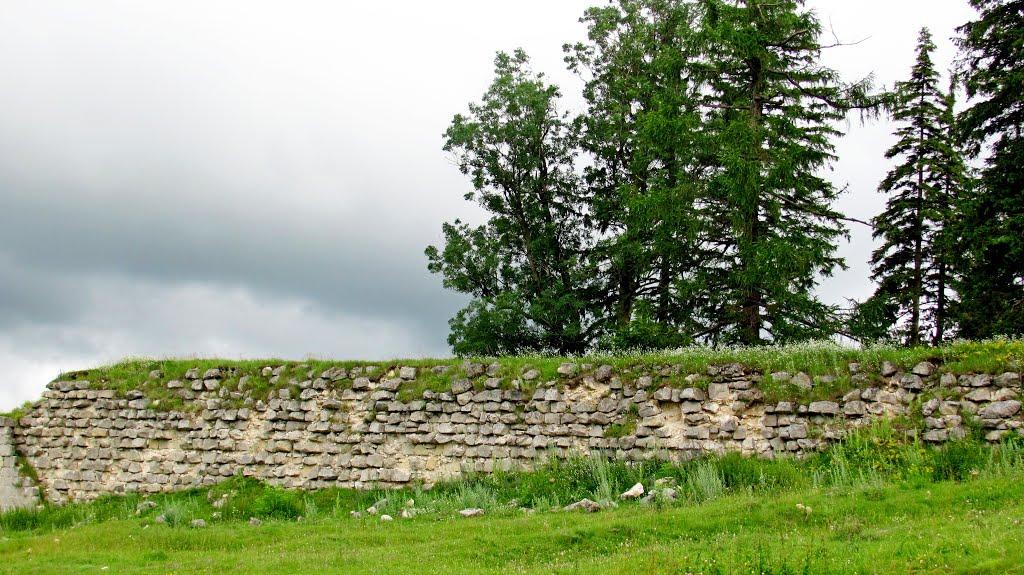 Підкамінь з panoramio.com - Підкамінь