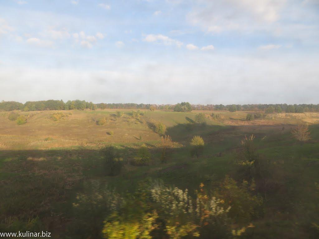 Долина з panoramio.com - Долина