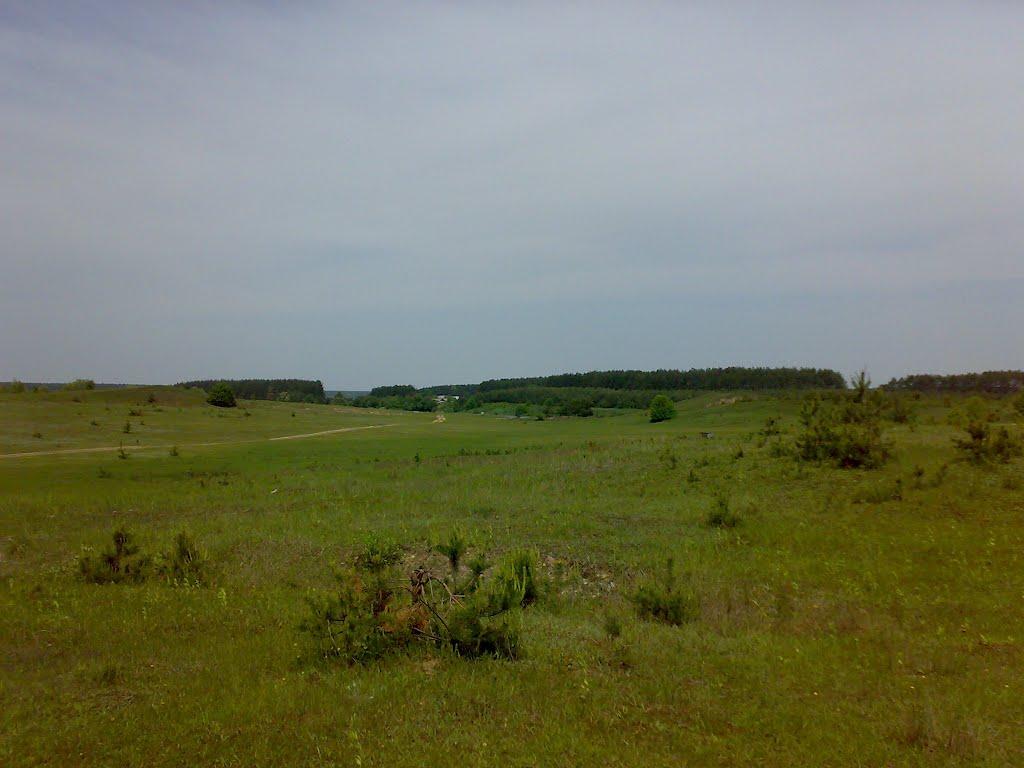 Голики з panoramio.com - Голики