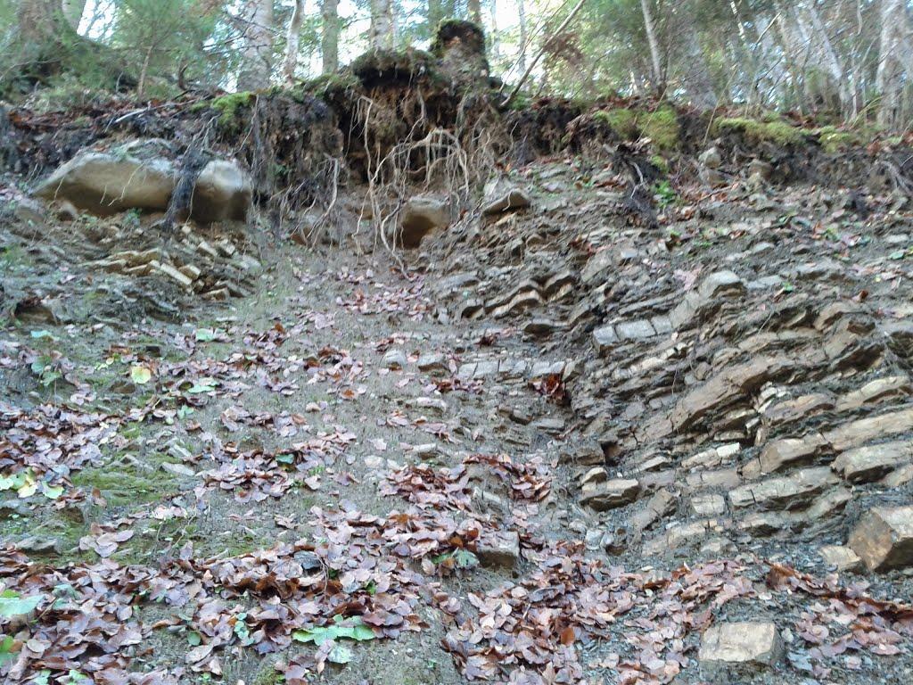 Паляниця з panoramio.com (ч.4) - Паляница