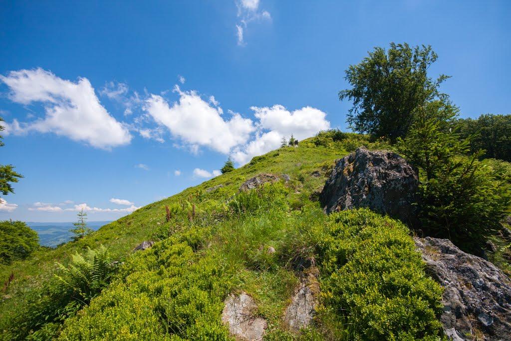 Воловець з panoramio.com - Воловець