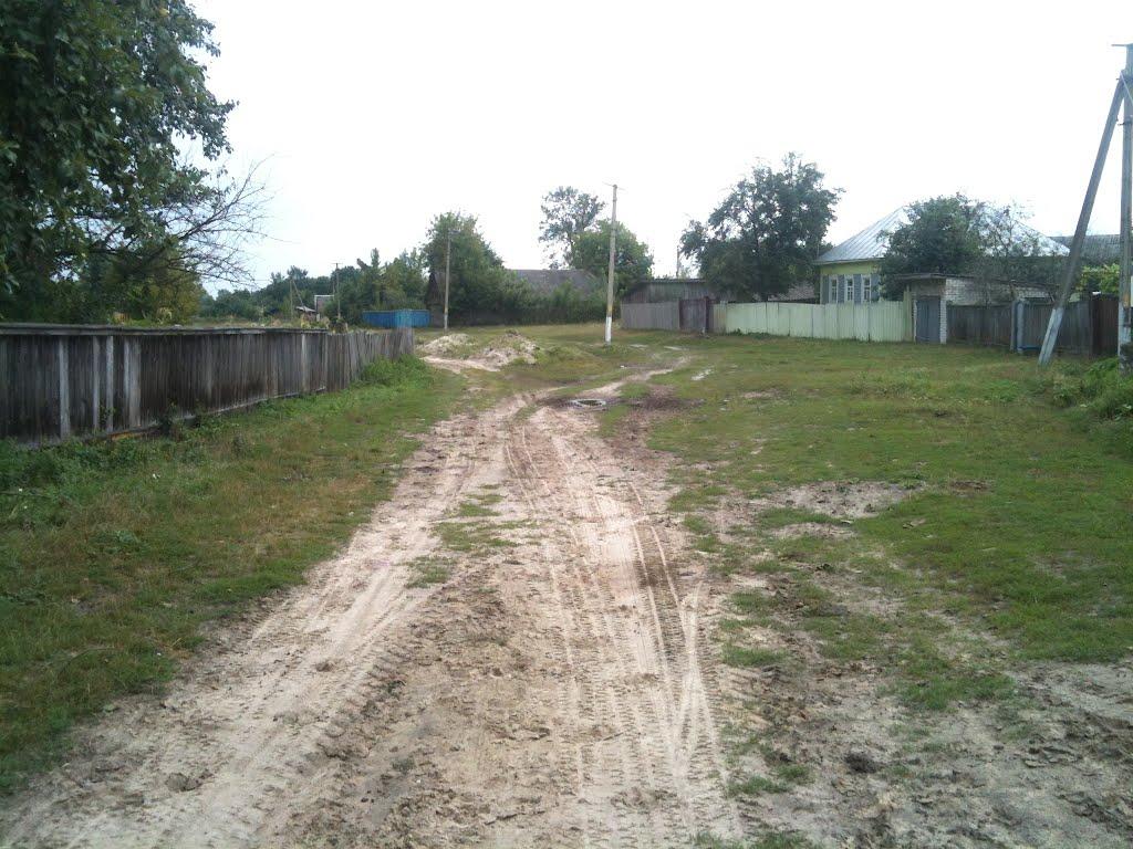 Любитове з panoramio.com - Любитово