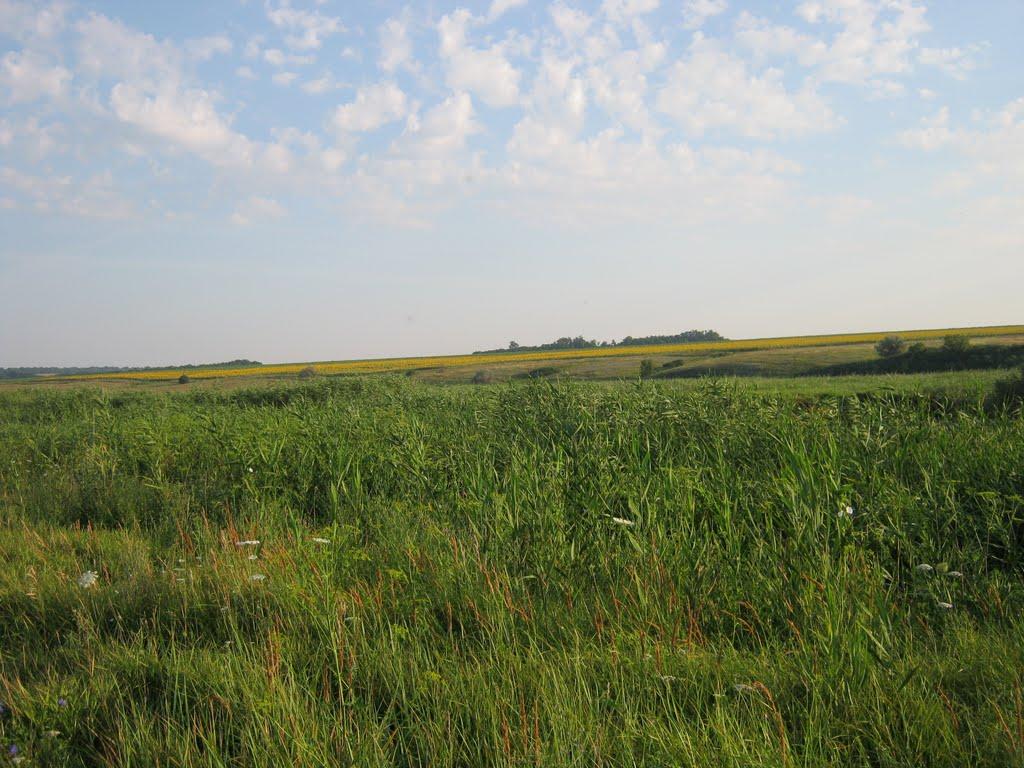 Сурське з panoramio.com - Сурское