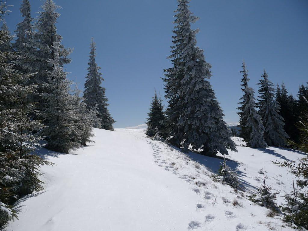 Татарів з panoramio.com - Татаров