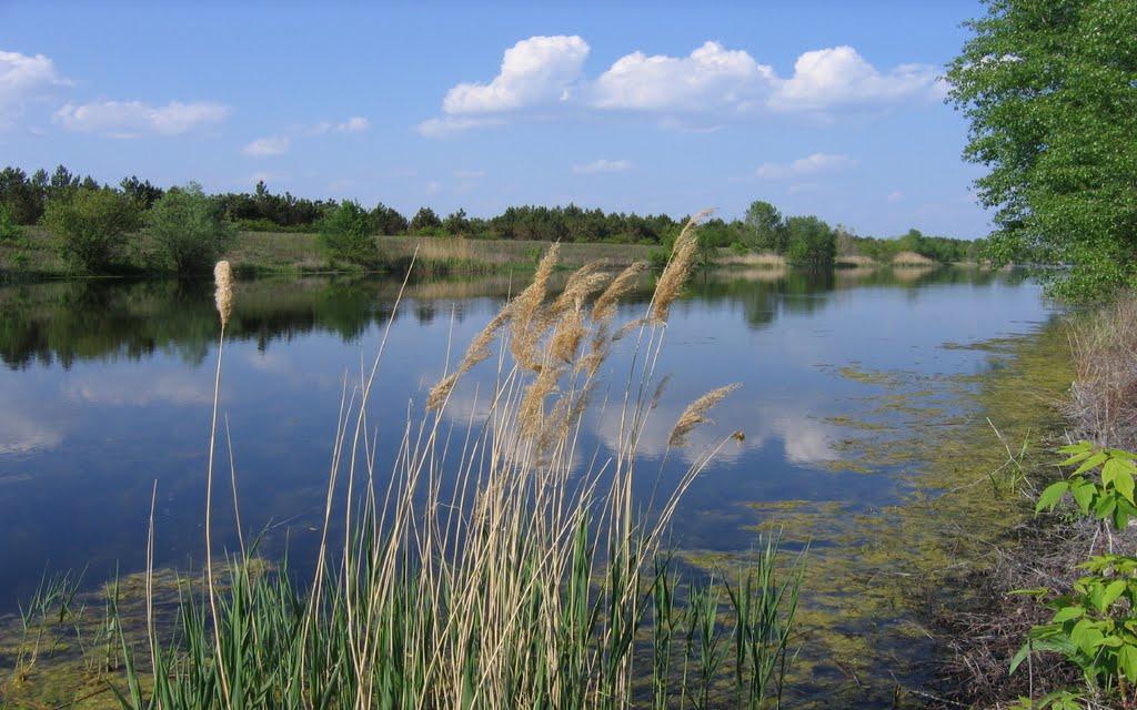 Шульгівка з panoramio.com - Shulgivka