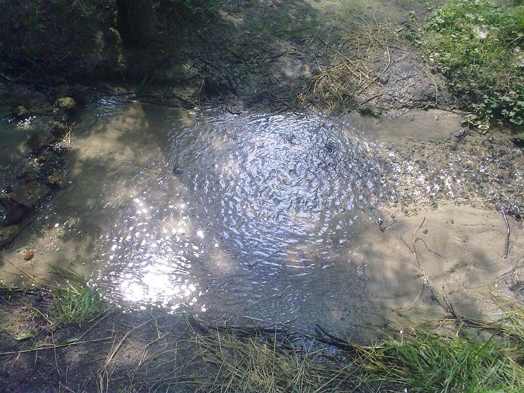 Приморське з panoramio.com - Приморское