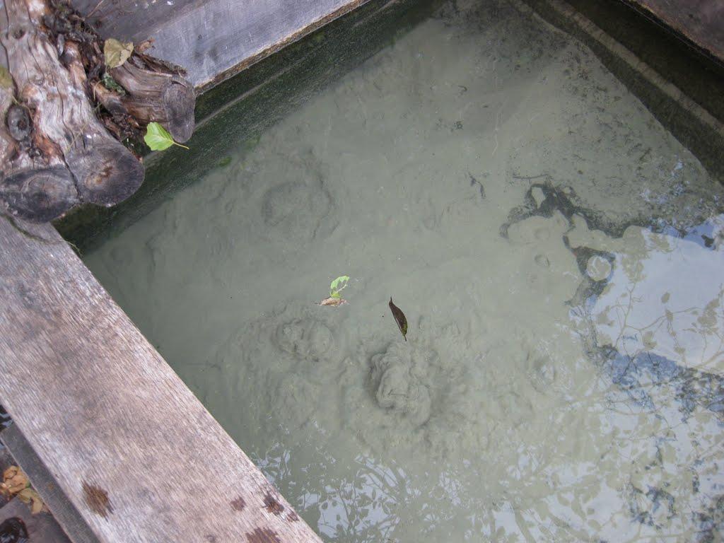 Узруй з panoramio.com - Узруй