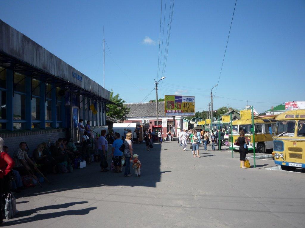 Славута з panoramio.com - Славута