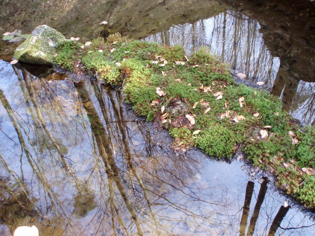 Козулька з panoramio.com - Козулька