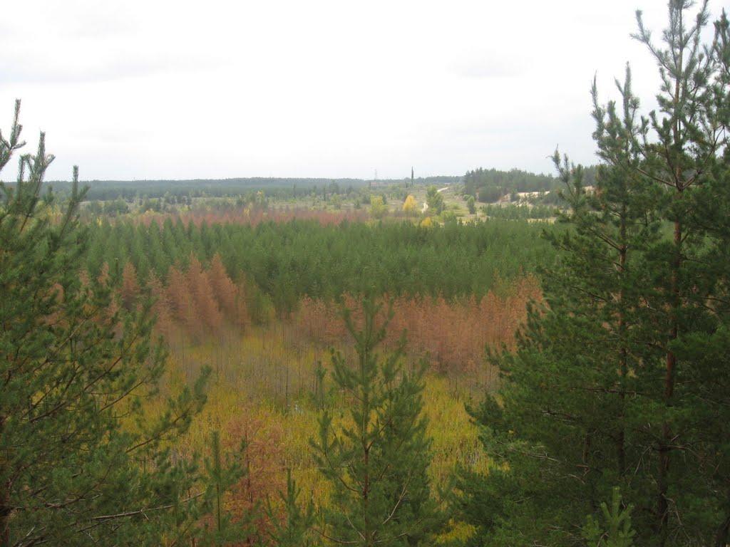 Метьолкіне з panoramio.com - Метьолкіне