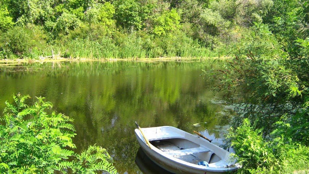 Плавещина з panoramio.com - Плавещина