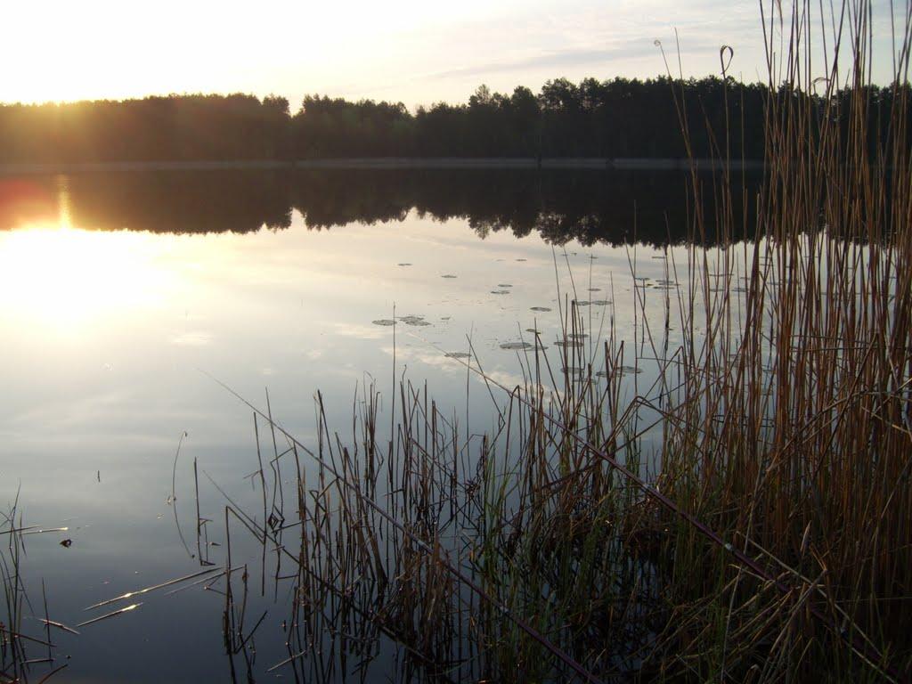 Золоте з panoramio.com - Золотое