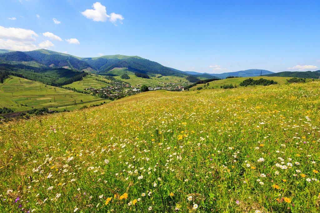 Воловець з panoramio.com - Volovets