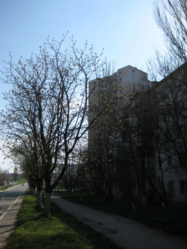 Іллічівськ з panoramio.com (ч.2) - Черноморск