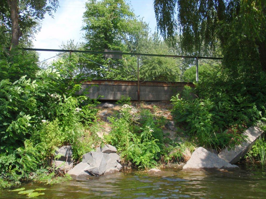 Кияшки з panoramio.com - Кияшки