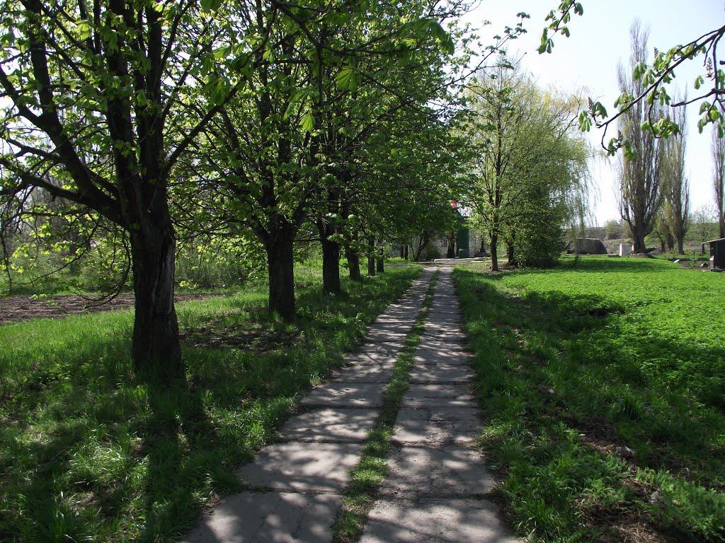 Сніжне з panoramio.com - Сніжне