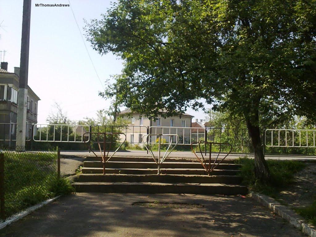 Олесько з panoramio.com - Олесько