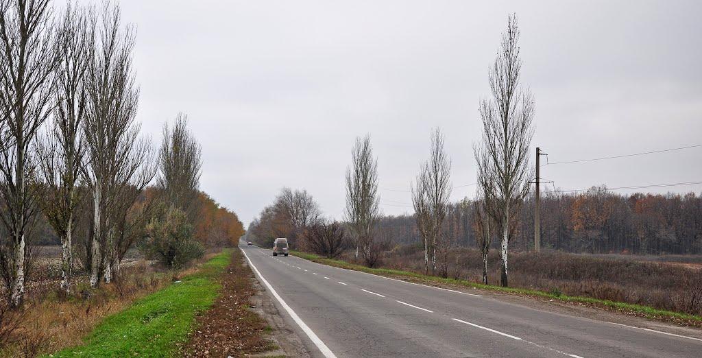 Темрюк з panoramio.com - Темрюк