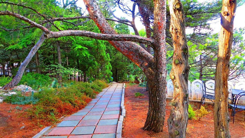 Гаспра з panoramio.com (ч.2) - Гаспра