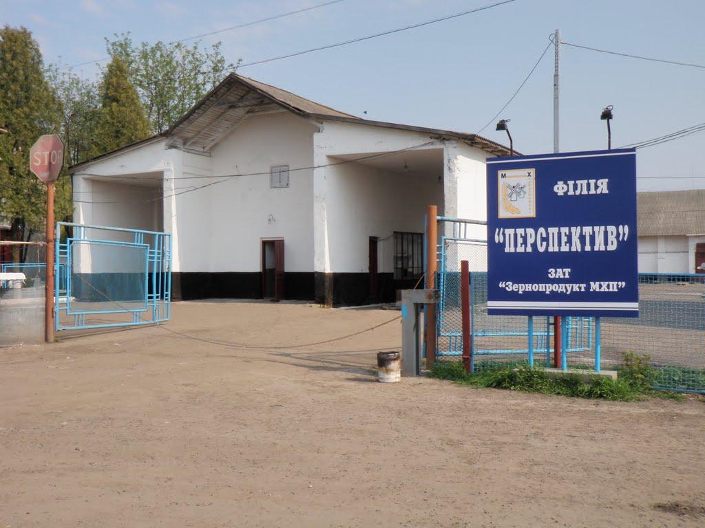 Чернятин з panoramio.com - Chernyatyn