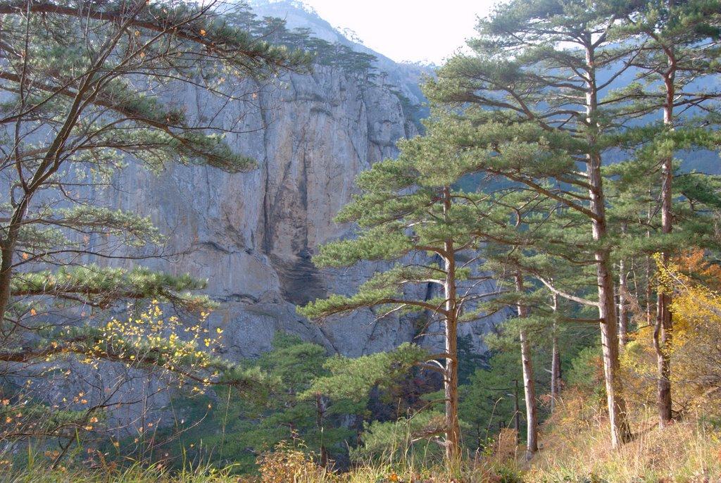 Совєтське з panoramio.com (ч.2) - Советское