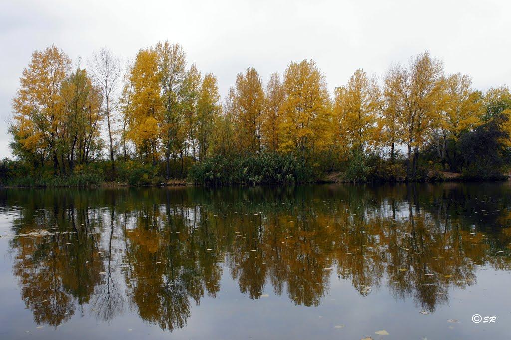 Шульгівка з panoramio.com - Шульгівка