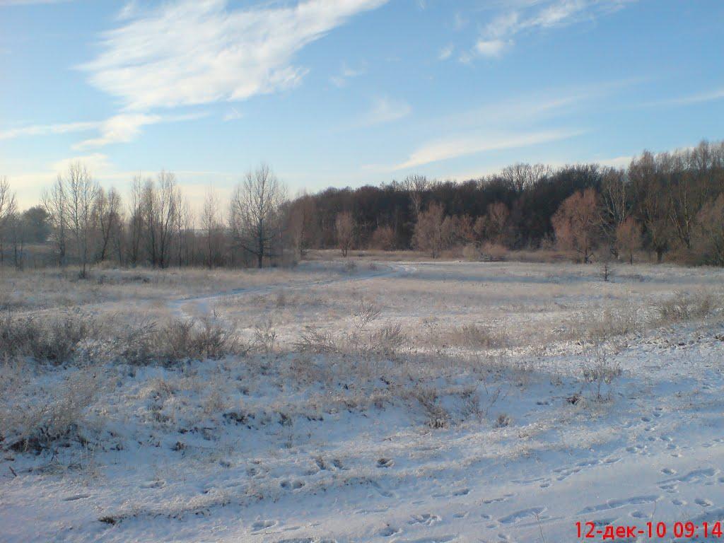 Малий Крупіль з panoramio.com - Малий Крупіль