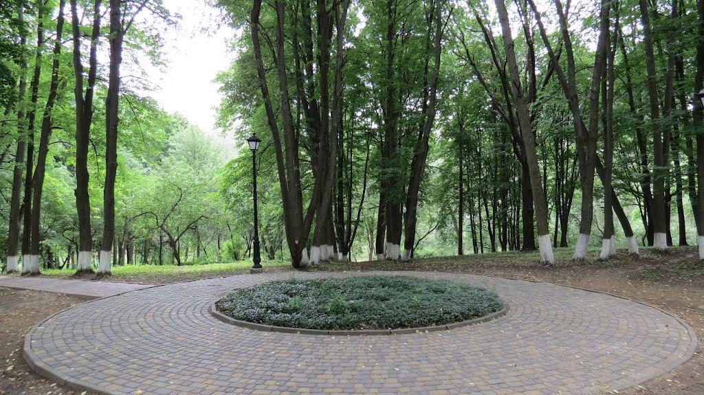 Сковородинівка з panoramio.com - Сковородинівка