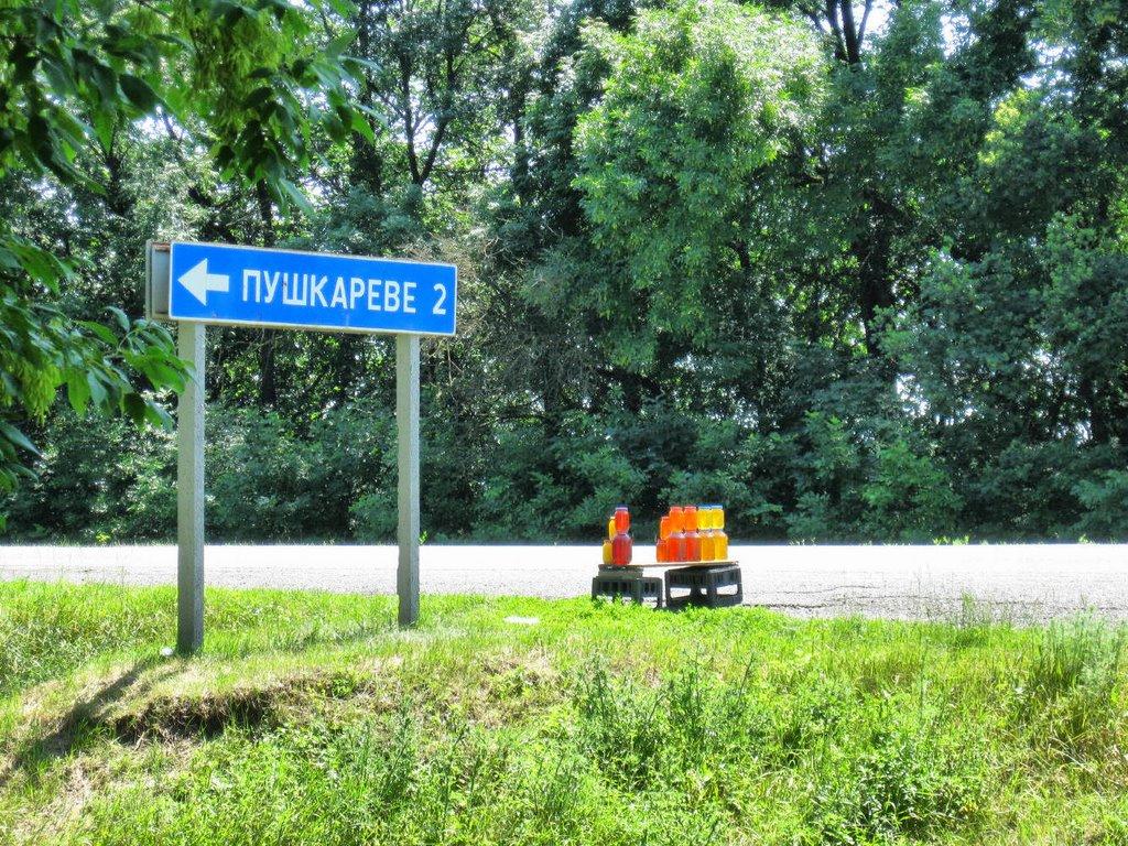 Пушкареве з panoramio.com - Пушкареве