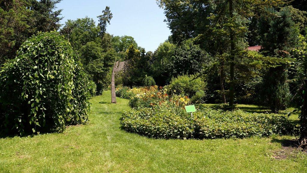 Циків з panoramio.com - Цыков