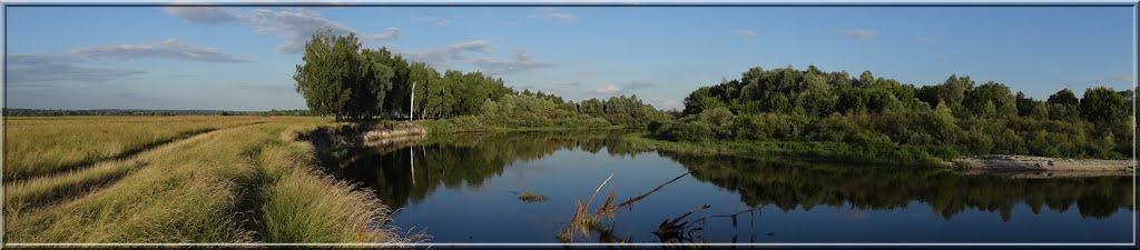 Новомутин з panoramio.com - Новомутин