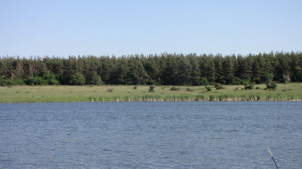 Карпове-Кріпенське з panoramio.com - Карпове-Кріпенське