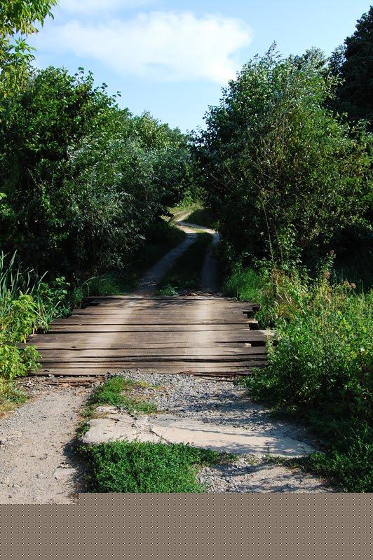 Вілюничі з panoramio.com - Вілюничі