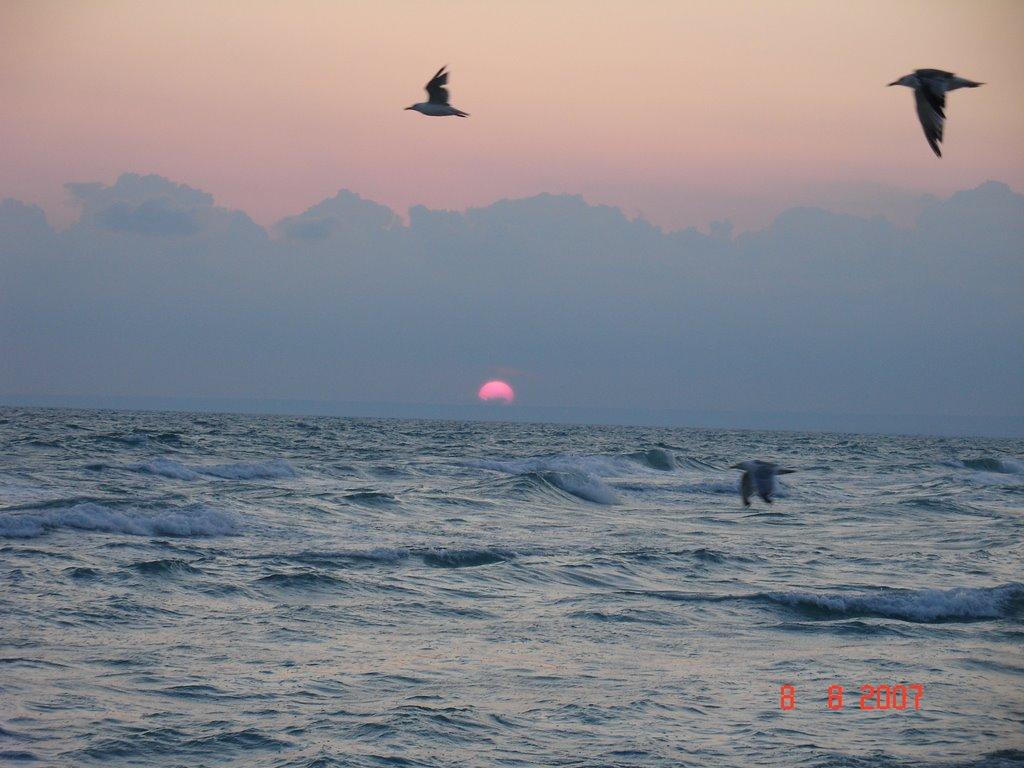 Мирний з panoramio.com (ч.2) - Myrnyy