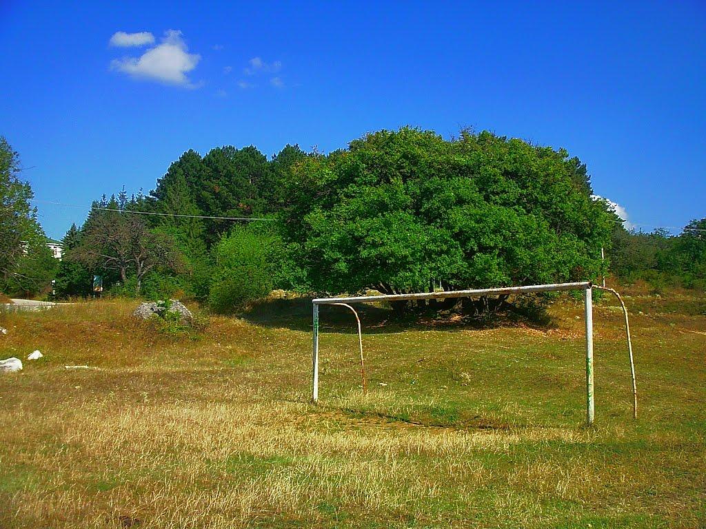 Научний з panoramio.com - Научний
